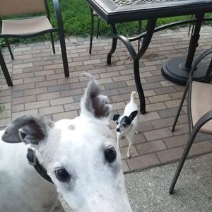 Meet your Posher, Christa